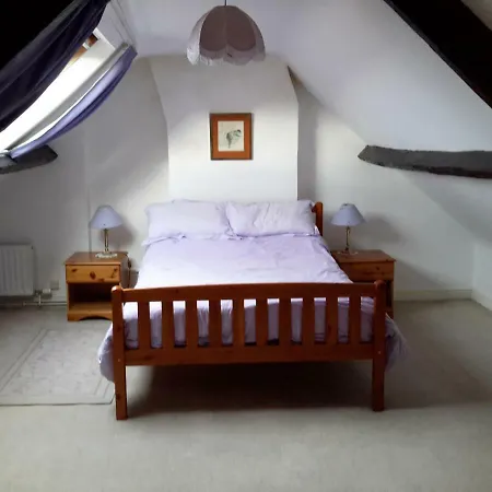 Lupine Holiday home