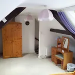 Lupine Holiday home Whitby