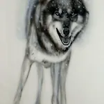 Lupine